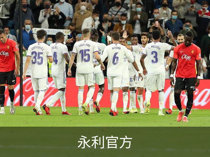 永利官方简介